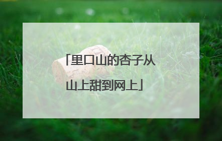 里口山的杏子从山上甜到网上