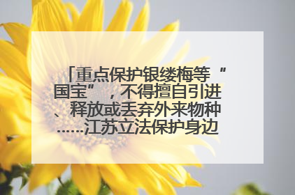 重点保护银缕梅等“国宝”，不得擅自引进、释放或丢弃外来物种……江苏立法保护身边的生物“朋友圈”