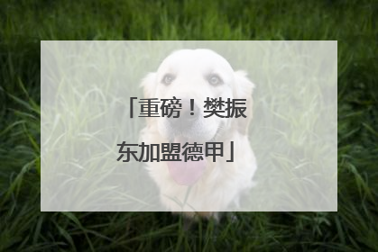 重磅！樊振东加盟德甲