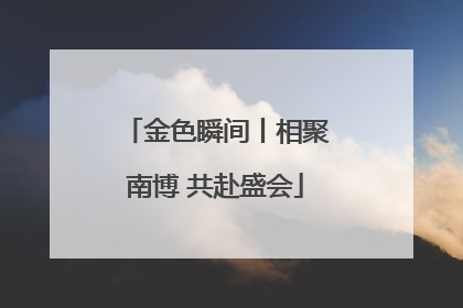 金色瞬间丨相聚南博 共赴盛会