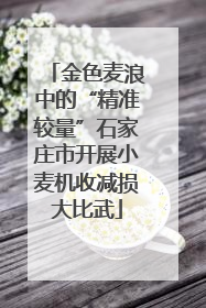 金色麦浪中的“精准较量”石家庄市开展小麦机收减损大比武