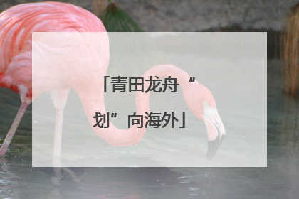 青田龙舟“划”向海外