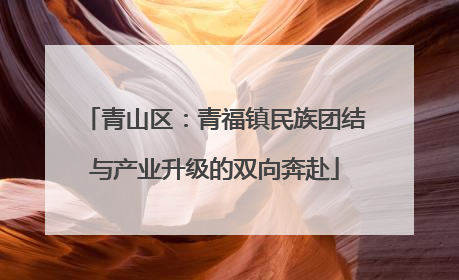 青山区：青福镇民族团结与产业升级的双向奔赴