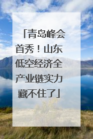 青岛峰会首秀！山东低空经济全产业链实力藏不住了