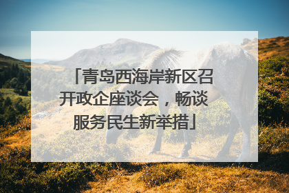 青岛西海岸新区召开政企座谈会，畅谈服务民生新举措