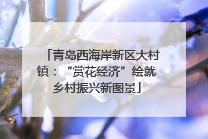 青岛西海岸新区大村镇：“赏花经济”绘就乡村振兴新图景