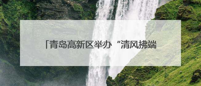 青岛高新区举办“清风拂端午 正气润童心”主题活动