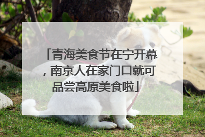 青海美食节在宁开幕，南京人在家门口就可品尝高原美食啦