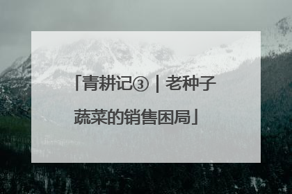 青耕记③｜老种子蔬菜的销售困局