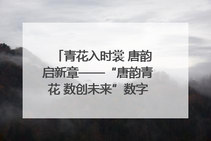 青花入时裳 唐韵启新章——“唐韵青花 数创未来”数字文创设计大赛启幕