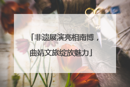 非遗展演亮相南博，曲靖文旅绽放魅力