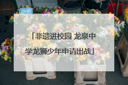 非遗进校园 龙泉中学龙狮少年申请出战