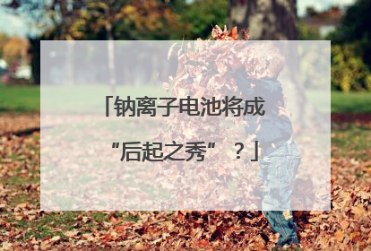 钠离子电池将成“后起之秀”？