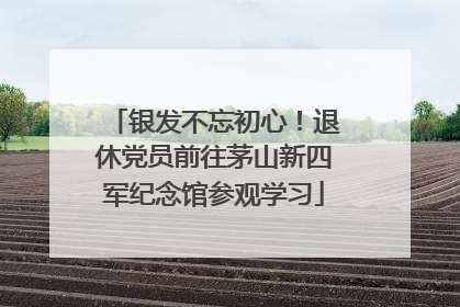 银发不忘初心！退休党员前往茅山新四军纪念馆参观学习