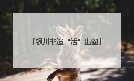 银川非遗“活”出圈
