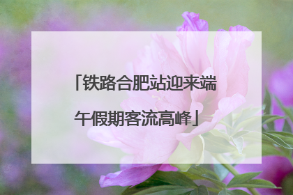 铁路合肥站迎来端午假期客流高峰