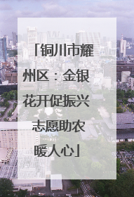 铜川市耀州区：金银花开促振兴 志愿助农暖人心