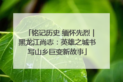 铭记历史 缅怀先烈｜黑龙江尚志：英雄之城书写山乡巨变新故事