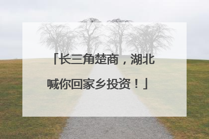 长三角楚商，湖北喊你回家乡投资！