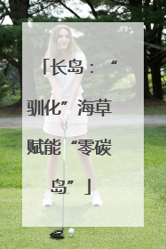 长岛：“驯化”海草赋能“零碳岛”