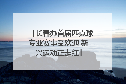 长春办首届匹克球专业赛事受欢迎 新兴运动正走红