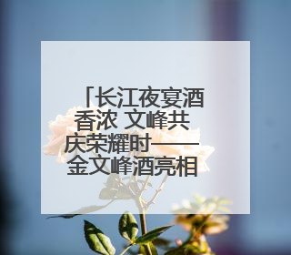 长江夜宴酒香浓 文峰共庆荣耀时——金文峰酒亮相湖北省庆典行业协会十周年盛典