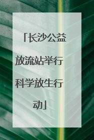 长沙公益放流站举行科学放生行动