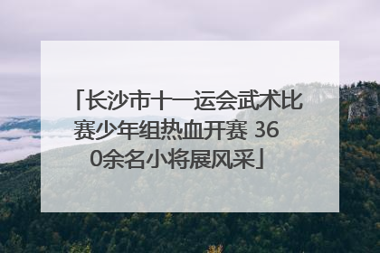 长沙市十一运会武术比赛少年组热血开赛 360余名小将展风采