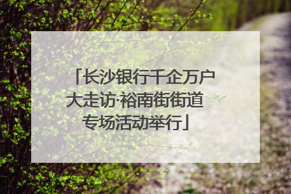 长沙银行千企万户大走访·裕南街街道专场活动举行