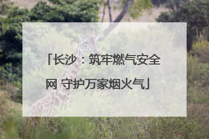 长沙：筑牢燃气安全网 守护万家烟火气