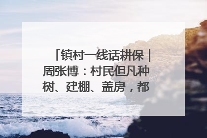 镇村一线话耕保｜周张博：村民但凡种树、建棚、盖房，都要向街道报批
