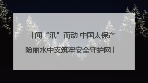 闻“汛”而动 中国太保产险丽水中支筑牢安全守护网