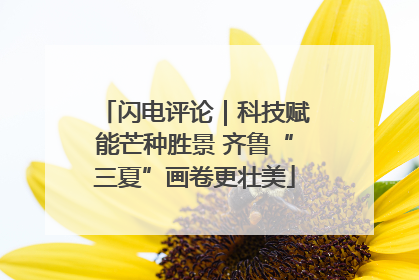 闪电评论｜科技赋能芒种胜景 齐鲁“三夏”画卷更壮美