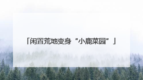 闲置荒地变身“小鹿菜园”