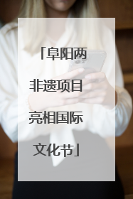 阜阳两非遗项目亮相国际文化节