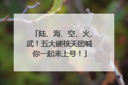 陆、海、空、火、武！五大硬核天团喊你一起来上号！