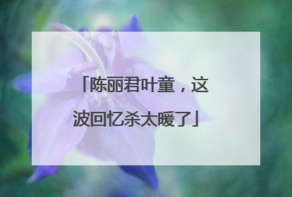 陈丽君叶童，这波回忆杀太暖了