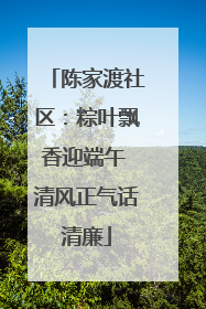 陈家渡社区：粽叶飘香迎端午 清风正气话清廉
