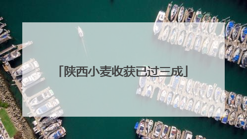 陕西小麦收获已过三成