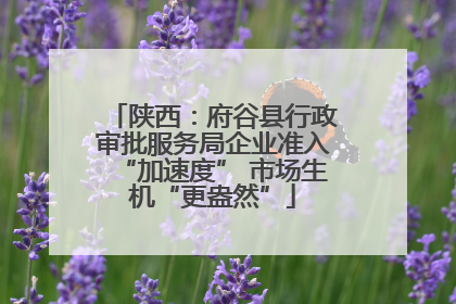 陕西：府谷县行政审批服务局企业准入“加速度” 市场生机“更盎然”
