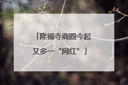 隆福寺商圈今起又多一“网红”