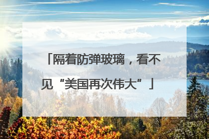 隔着防弹玻璃，看不见“美国再次伟大”