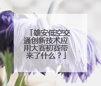 雄安低空交通创新技术应用大赛初赛带来了什么？