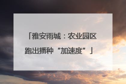 雅安雨城：农业园区跑出播种“加速度”