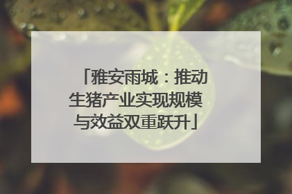 雅安雨城：推动生猪产业实现规模与效益双重跃升