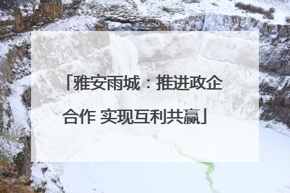 雅安雨城：推进政企合作 实现互利共赢