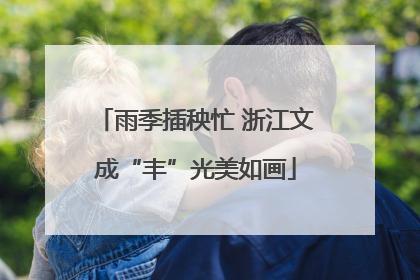 雨季插秧忙 浙江文成“丰”光美如画