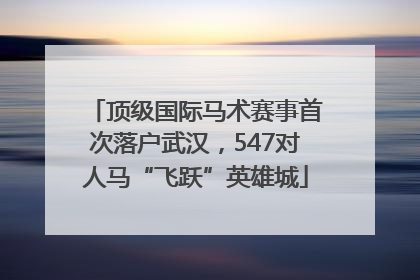 顶级国际马术赛事首次落户武汉，547对人马“飞跃”英雄城