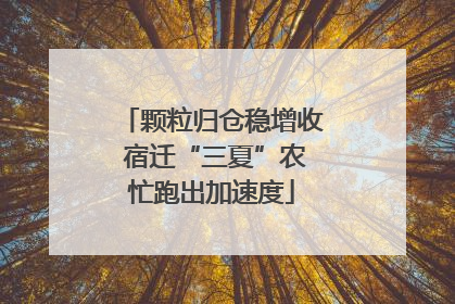 颗粒归仓稳增收 宿迁“三夏”农忙跑出加速度