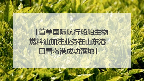 首单国际航行船舶生物燃料油加注业务在山东港口青岛港成功落地